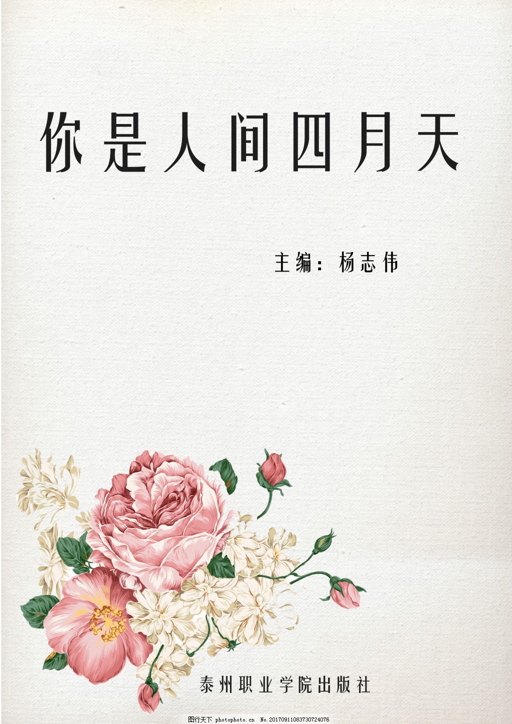 猫咪最新官网入口